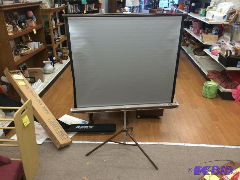lot 313 image: projector screen