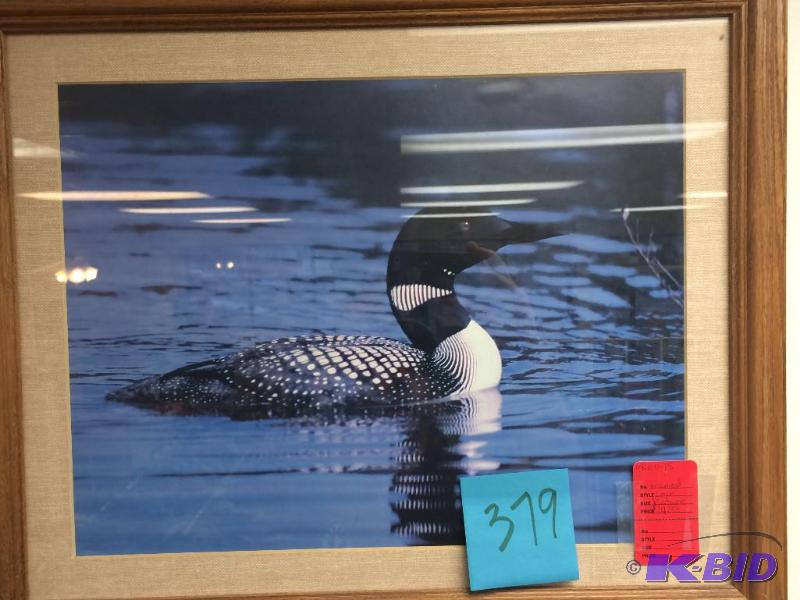 lot 379 image: super nice Loon Print 18x22