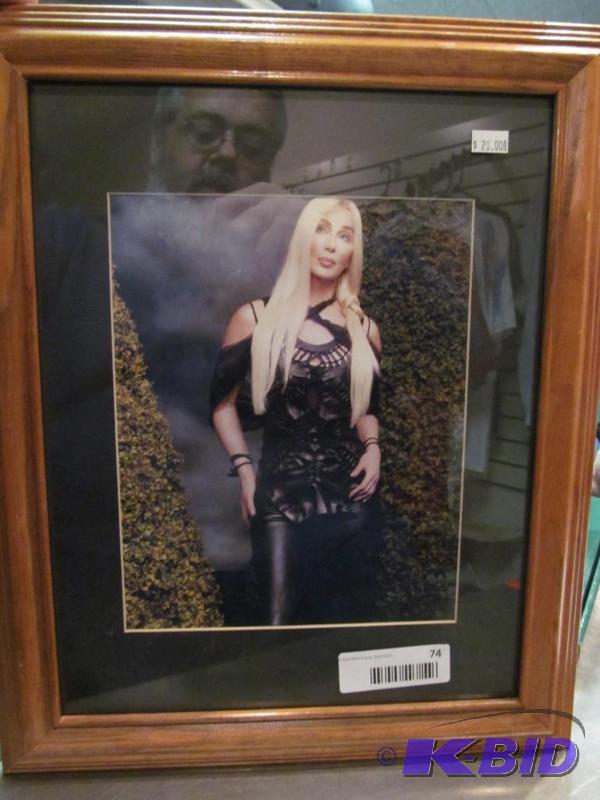 CHER FRAMED PICTURE