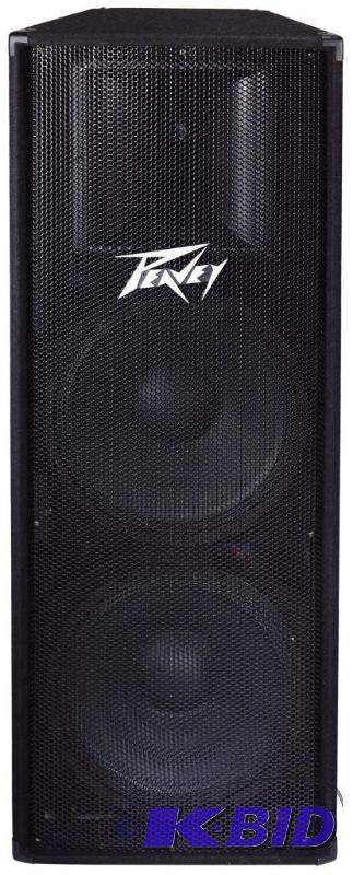 Peavey PV215 2-Way Dual 15 Inch Speaker Cabinet