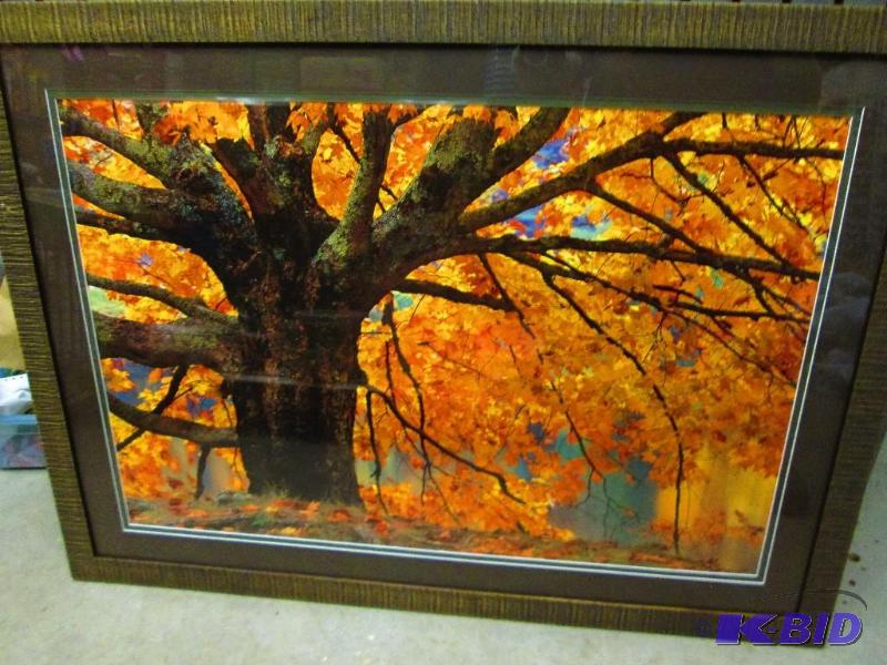 Large autumn tree scene framed by Foxe Fyre g...
