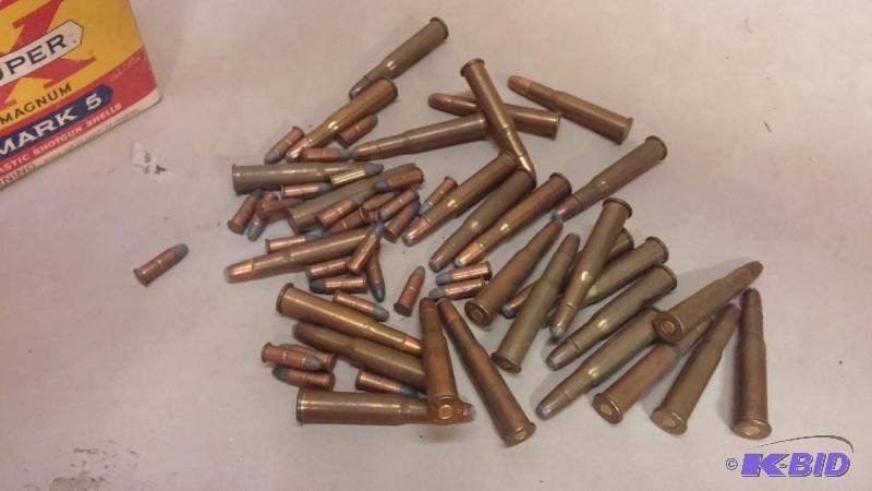 Ammo As shown...