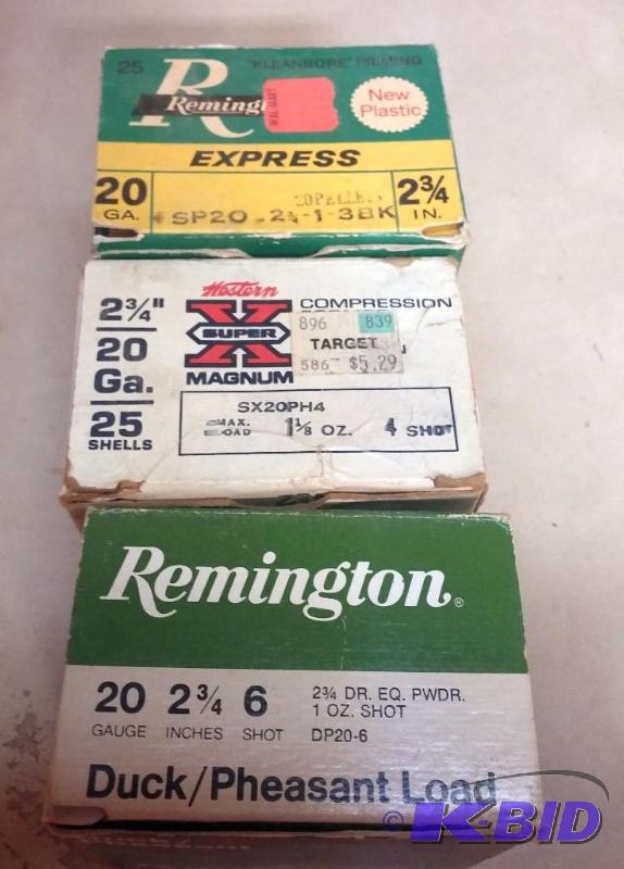 20 gauge 2 34 Bullets Ammo...