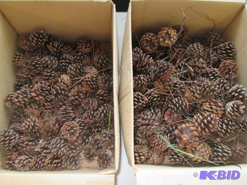 lot 201 image: Large lot of pine cones, great for decorating...