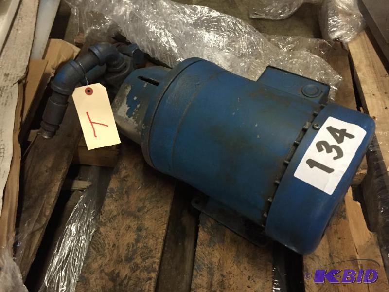 lot 134 image: Pump and motor....