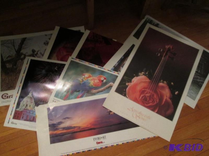 mixed lot of nature, city, and animal posters...