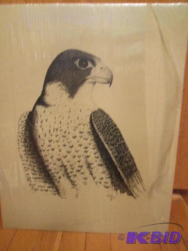 The Peregine Falcon (endangered species) 20in...