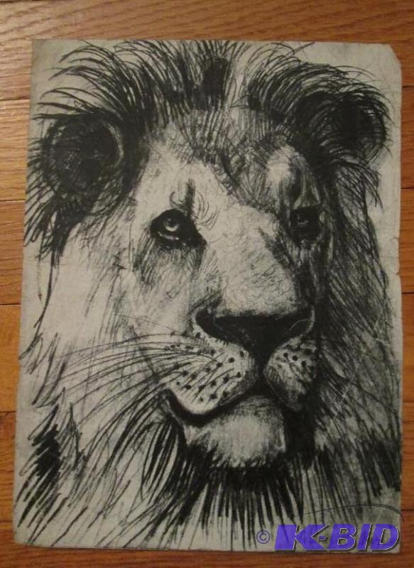 orginal lion sketch 11in x 8in...