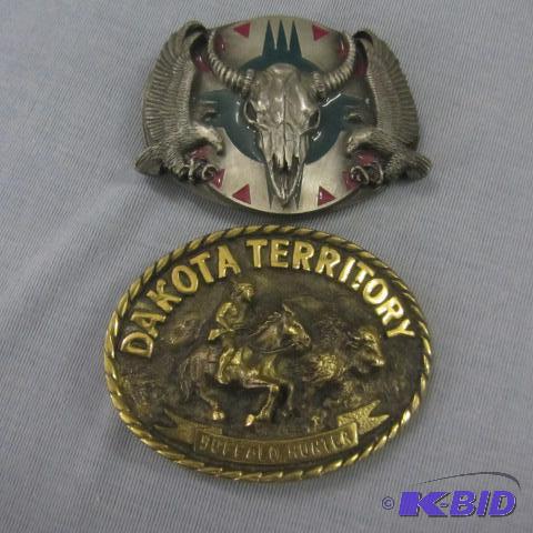 lot 30 image: Buffalo, Dakota Territory