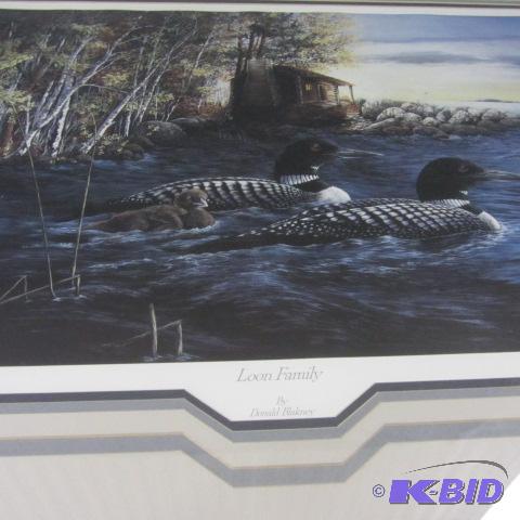 lot 53 image: Loon Family Framed Print