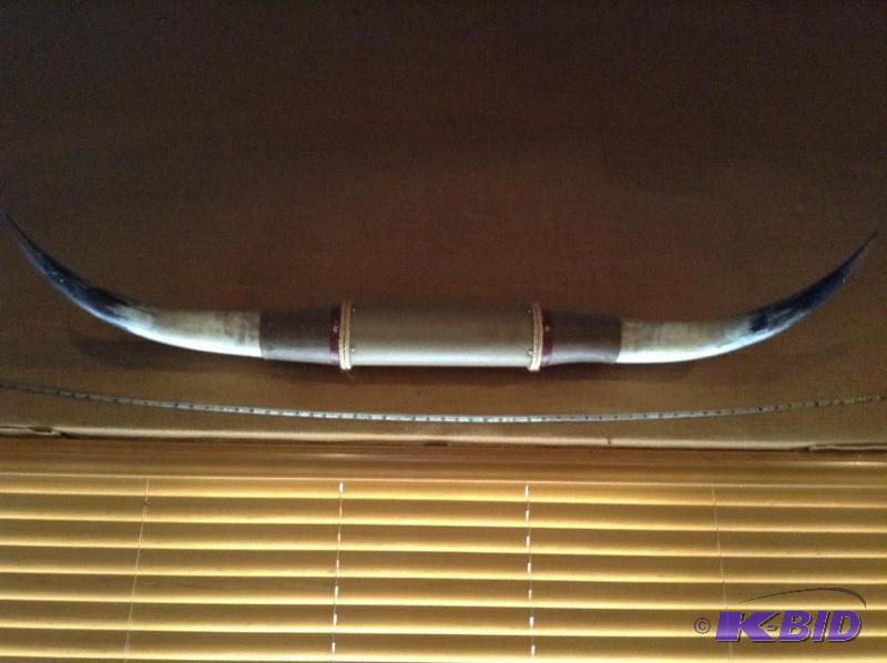 lot 3 image: bullhorns