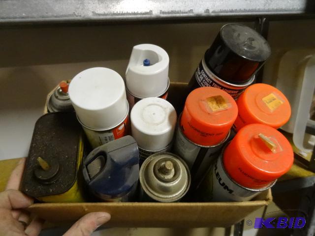 lot 75 image: Misc Spray Paint and Chemicals...
