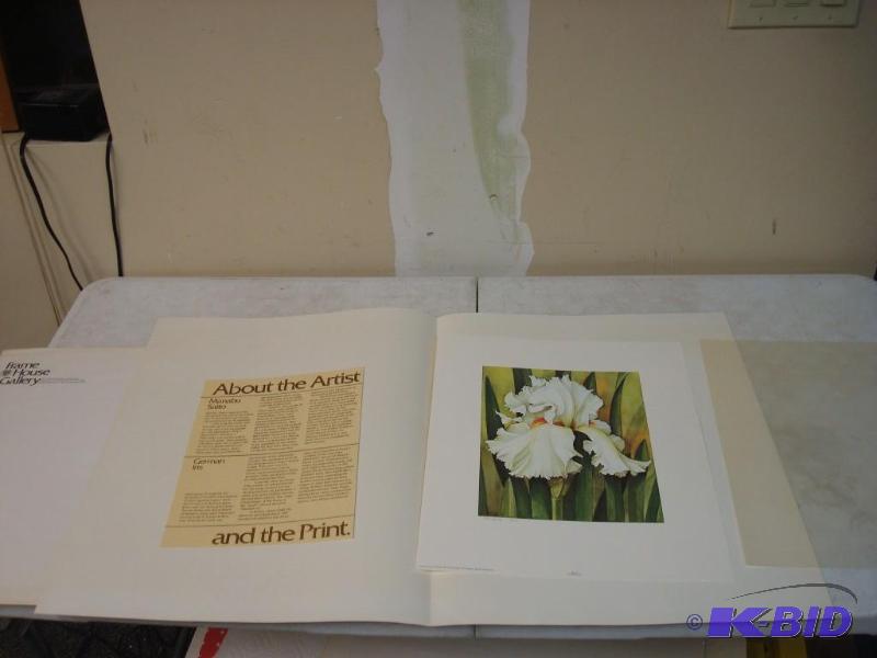 Risque German Iris Art Print By Manabu&nbspS...