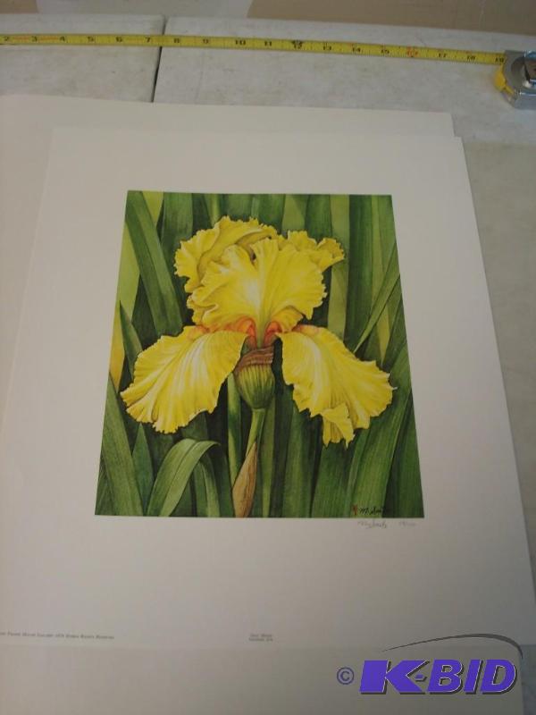 New Moon German Iris Art Print by&nbspManabu...