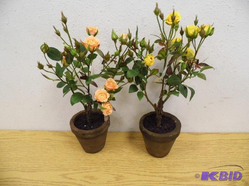 2 Piece Sweetheart Rose Pot