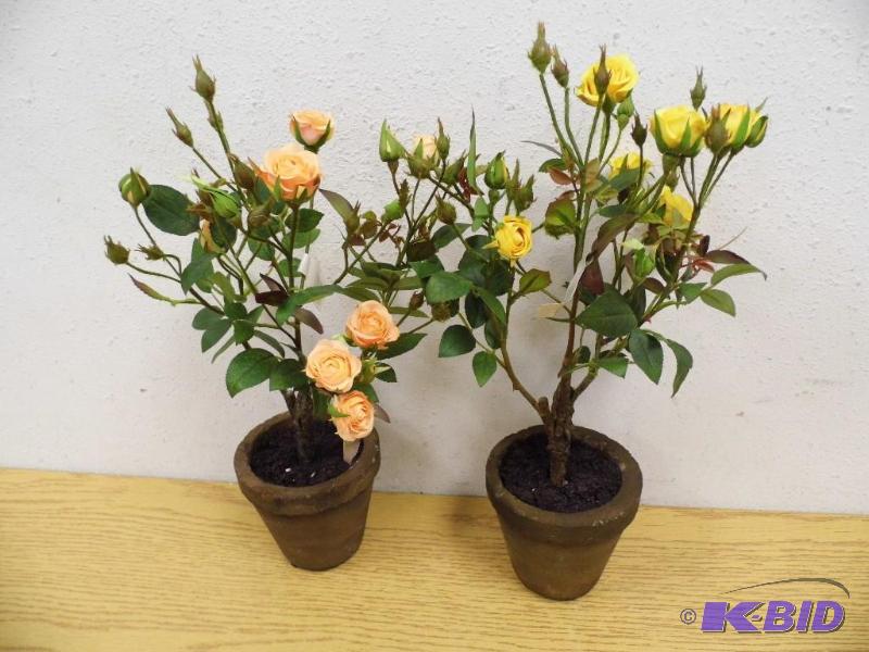 2 Piece Sweetheart Rose Pot