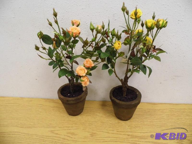 2 Piece Sweetheart Rose Pot