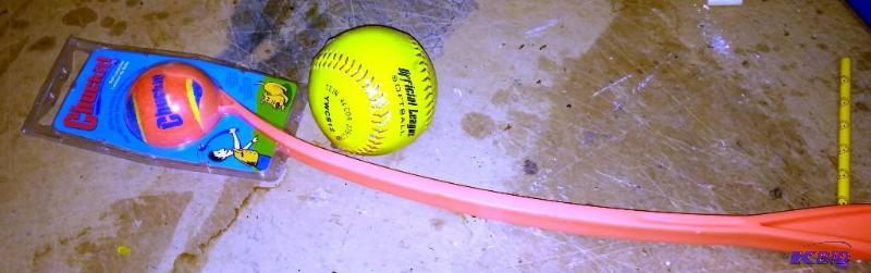 New softball and Dog ball &quotChuck It&quot...