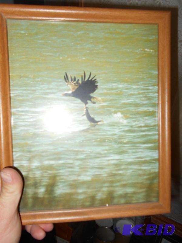 lot 33 image: Picture, Eagle picking up fish, Lake Bemidji...
