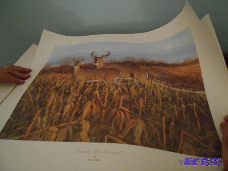 lot 47 image: Picture. Three prints in tube. One waterfowl ...