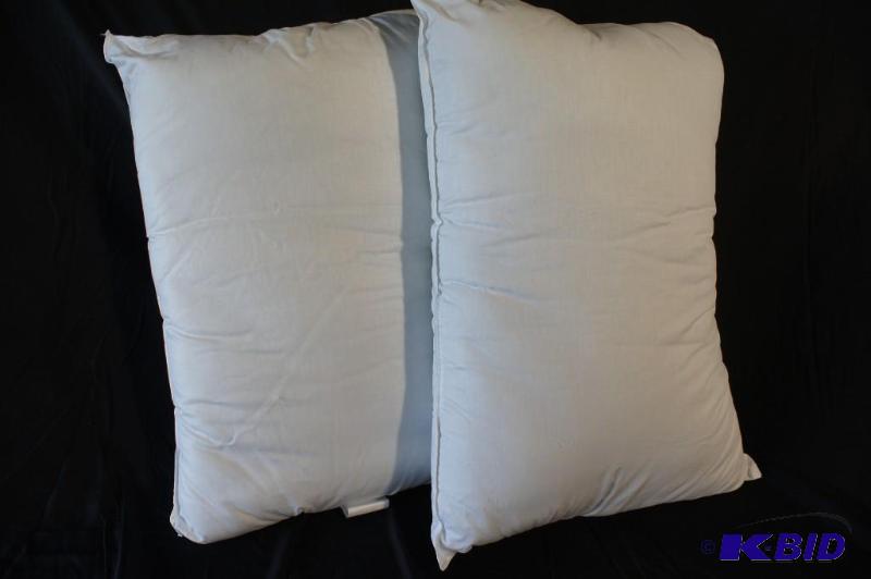 Allergy Jumbo Pillows - (2) Total - MSRP&nbsp...