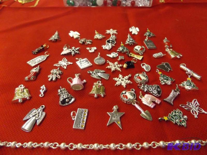 Variety of charms charm accessories