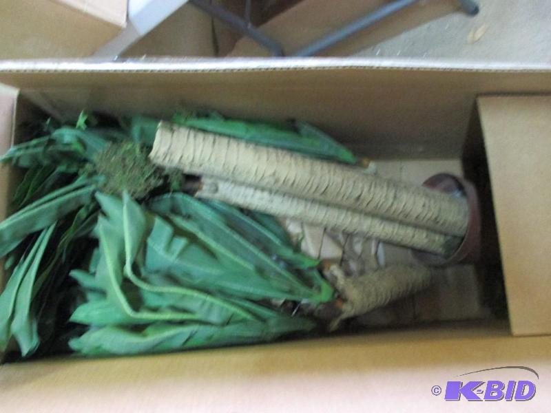 corn stalk plant...