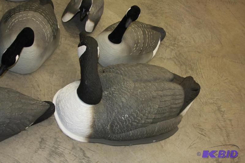 Goose Decoys