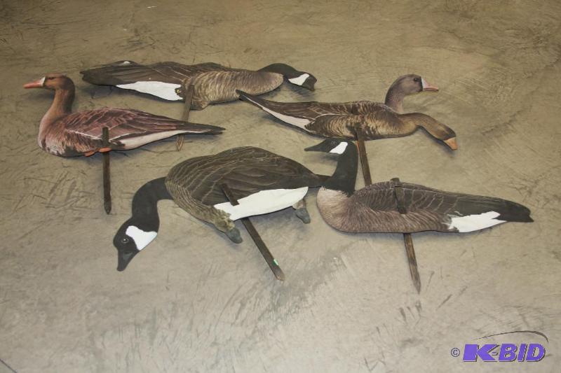Goose Decoys