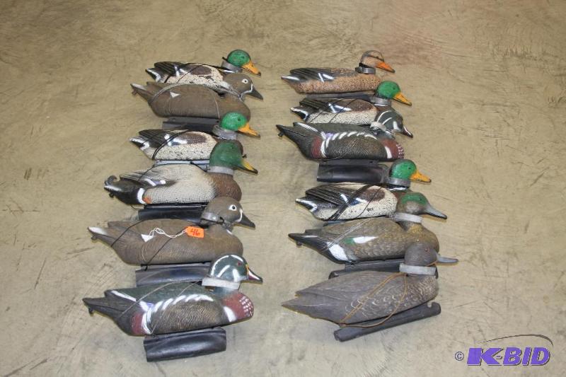 Duck Decoys