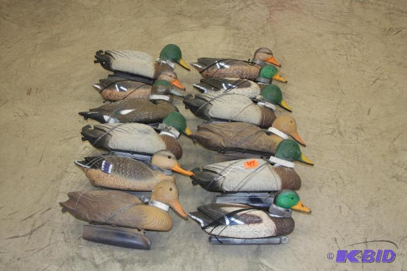 Duck Decoys