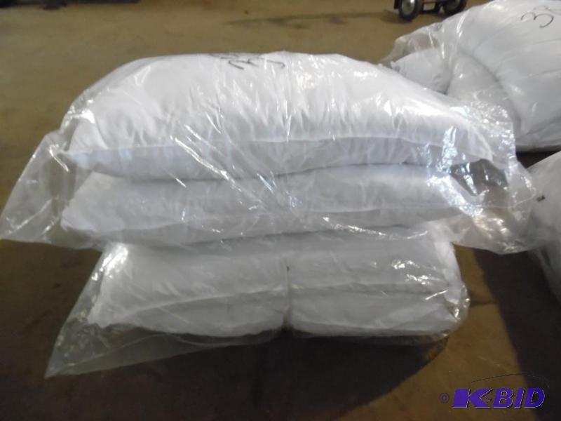 lot 37 image: Pillow