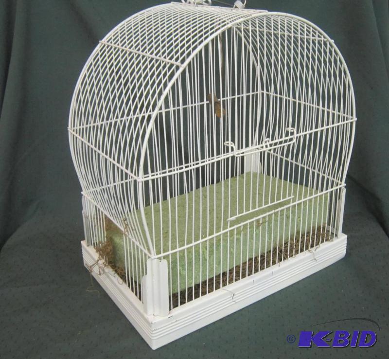 Bird Cage