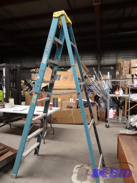 8 Werner Step Ladder...