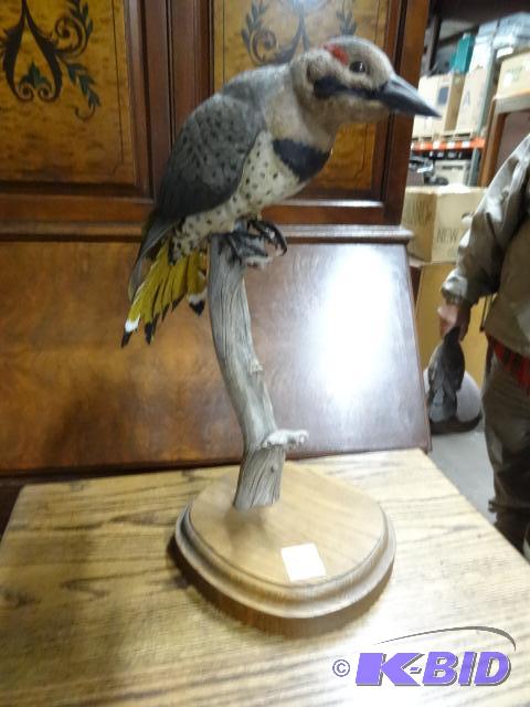Wooden Carved Bird...