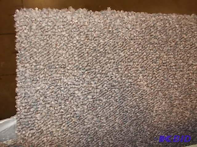 Carpet Remnant, Low Pile, Approx. 12 X 15 6...