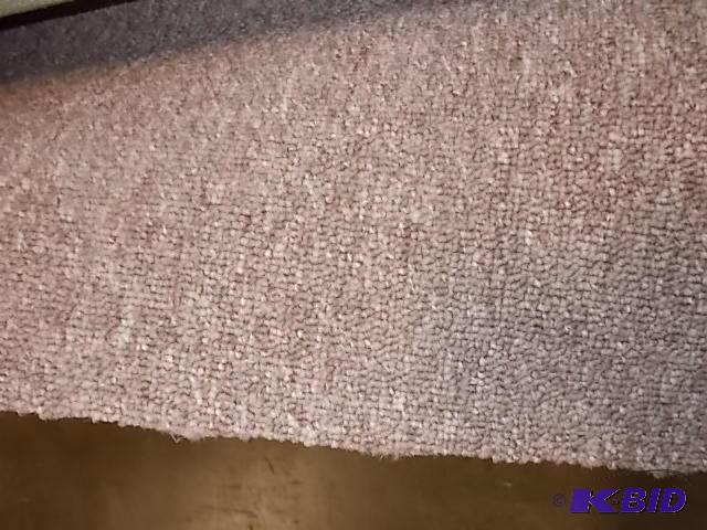 Carpet Remnant, Low Pile, Approx. 12 X 20...