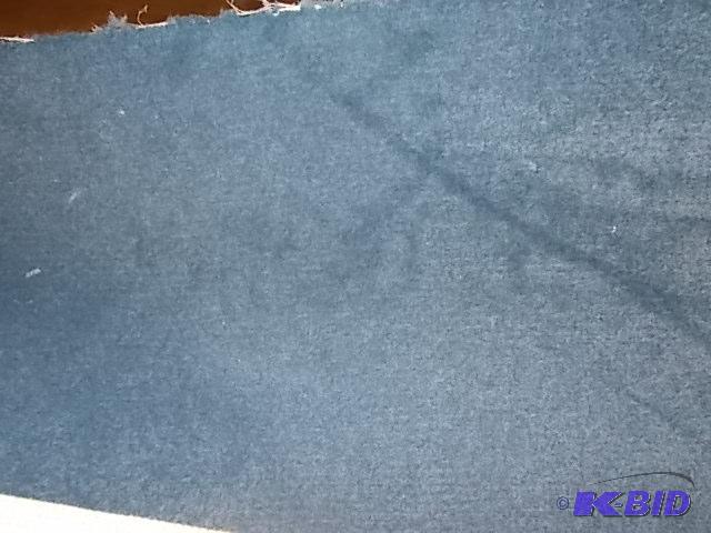 Carpet Remnant, Low Pile, Approx. 12 X 20...