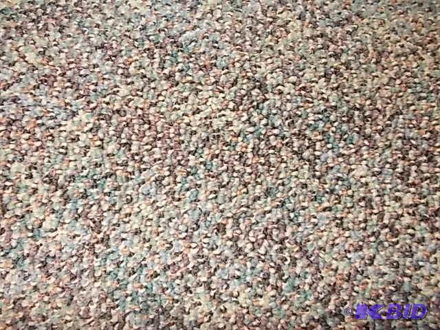Carpet Remnant, Low Pile, Approx. 12 X 22...