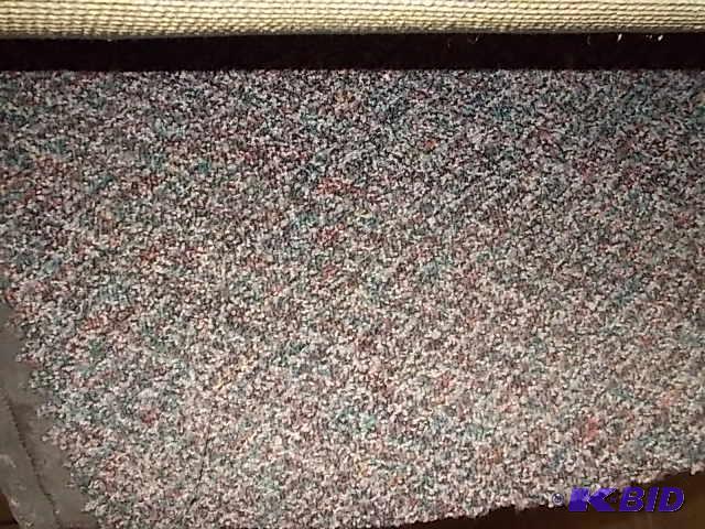 Carpet Remnant, Low Pile, Approx. 12 X 72...