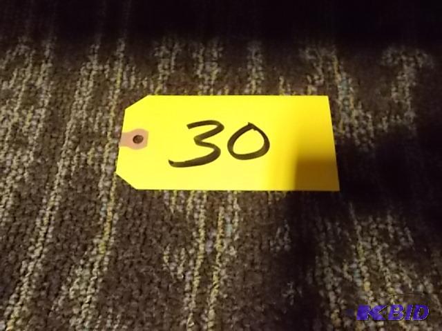 Carpet Remnant, Low Pile, Approx. 12 X 38...