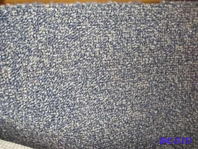 Carpet Remnant, Low Pile, Approx. 12 X 16...