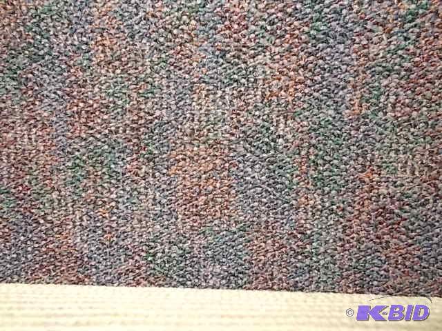 Carpet Remnant, Low Pile, Approx. 12 X 21 3...