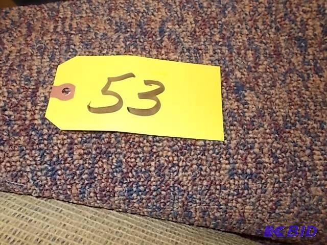 Carpet Remnant, Low Pile, Approx. 12 X 16 6...