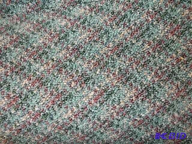 Carpet Remnant, Low Pile, Approx. 12 X 18...