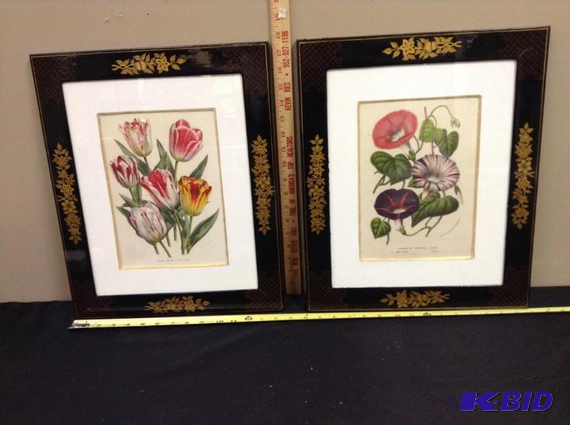 lot 10 image: Set of botanical prints.