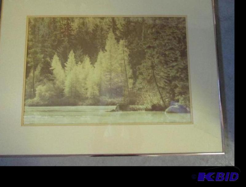 lot 16 image: 24in x 23in metal framed picture of pine tree...