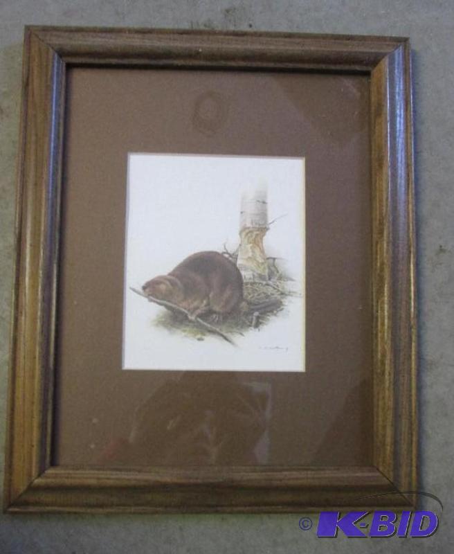 lot 2 image: 12in x 10in wooden framed pictures of beaver ...
