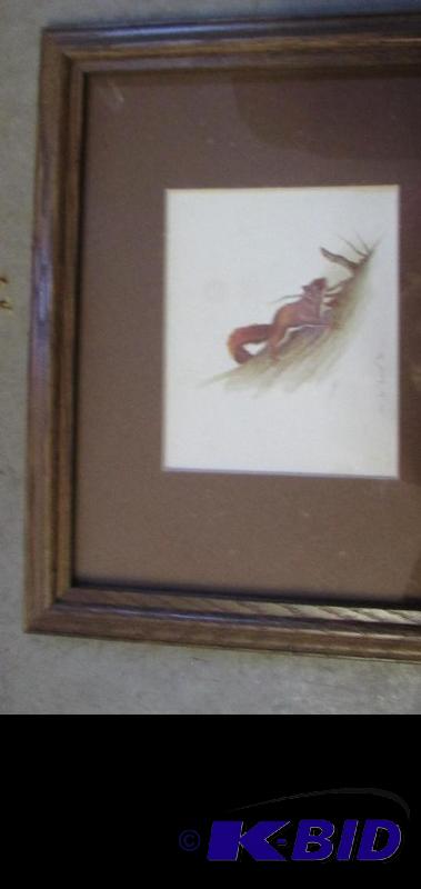 lot 4 image: 12in x 10in wooden framed picture of squirrel...