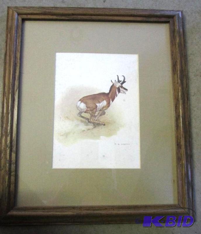lot 5 image: 14in x 11in wooden framed picture of antelope...